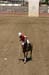 090406-Polo-0412