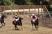 090406-Polo-0432