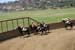 090406-Polo-0437