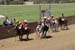090406-Polo-0444