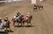 090406-Polo-0455