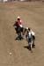 090406-Polo-0474