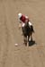 090406-Polo-0508