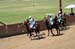 090406-Polo-0516