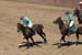 090406-Polo-0523