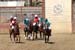 090406-Polo-0537