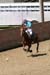 090406-Polo-0545
