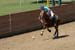 090406-Polo-0546