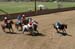 090406-Polo-0556