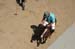 090406-Polo-0561