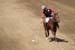 090406-Polo-0568