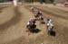 090406-Polo-0585