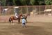 090406-Polo-0593