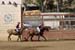 090406-Polo-0594