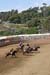 090406-Polo-0612