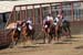 090406-Polo-0623