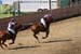 090406-Polo-0629