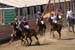 090406-Polo-0639