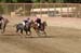 090406-Polo-0650