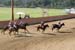 090406-Polo-0652