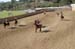 090406-Polo-0662