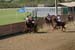 090406-Polo-0668