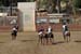 090406-Polo-0689