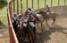 090406-Polo-0693