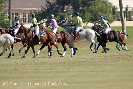 092406-Polo-0012
