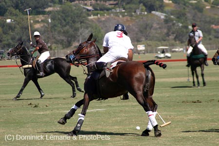 092406-Polo-0164