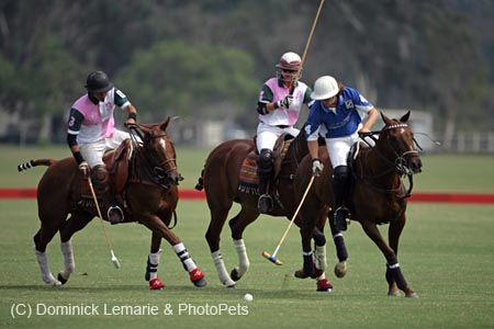 100106-Polo-1-0033