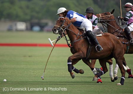 100106-Polo-1-0035