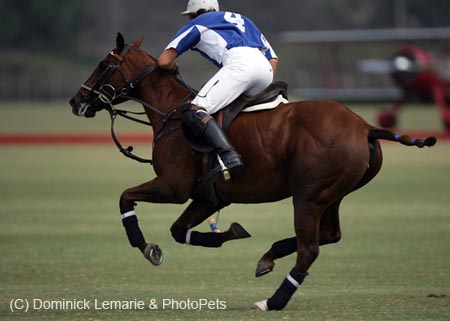 100106-Polo-1-0037