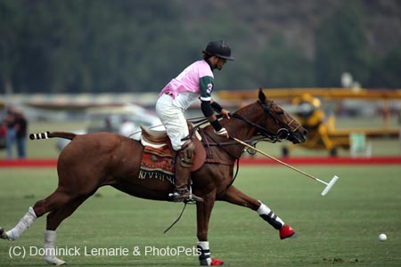 100106-Polo-1-0043