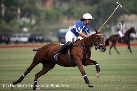 100106-Polo-1-0048