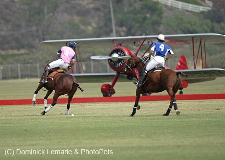 100106-Polo-1-0050