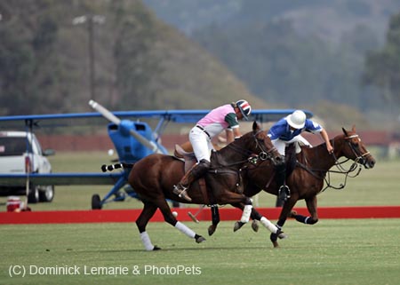100106-Polo-1-0053