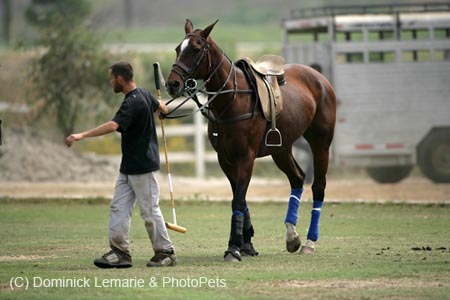 100106-Polo-1-0057