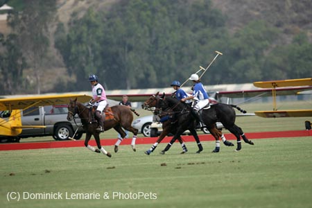 100106-Polo-1-0099