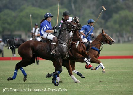 100106-Polo-1-0112