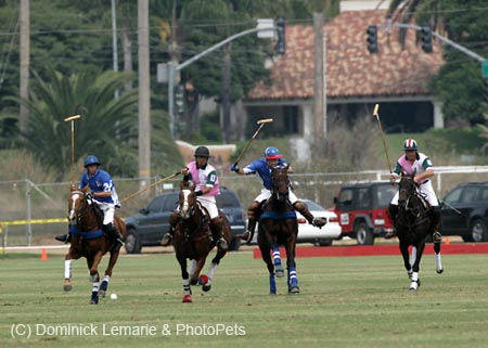 100106-Polo-1-0115