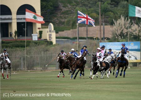 100106-Polo-1-0132