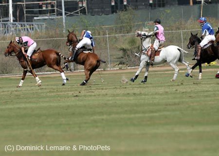 100106-Polo-1-0179