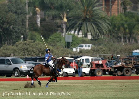 100106-Polo-1-0186