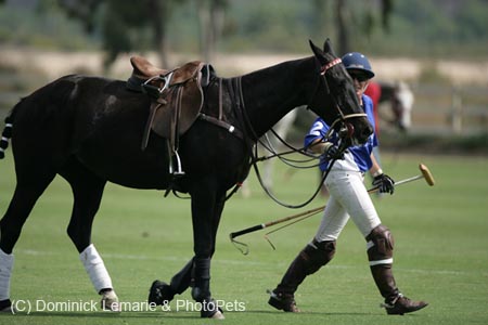 100106-Polo-1-0202