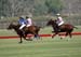 100106-Polo-1-0067