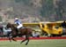 100106-Polo-1-0124