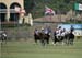 100106-Polo-1-0132