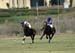 100106-Polo-1-0155