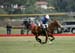 100106-Polo-1-0177